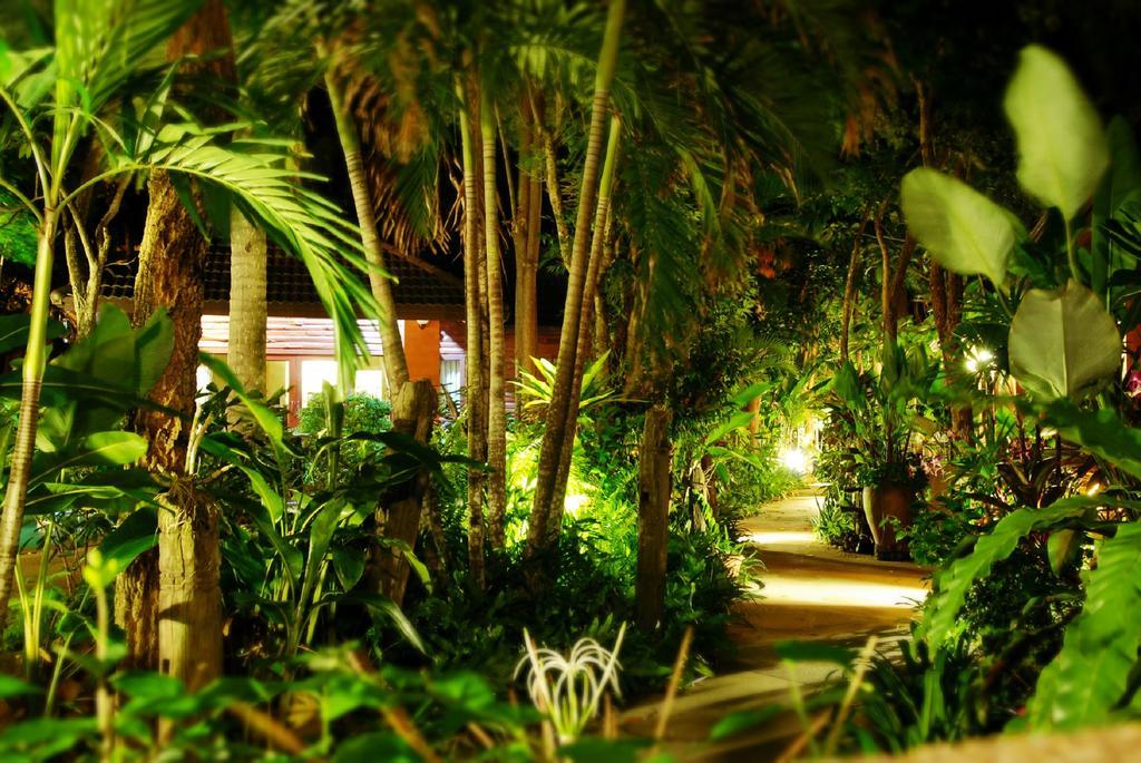 מאה נאם ביץ' Polina Park Hotel חדר תמונה